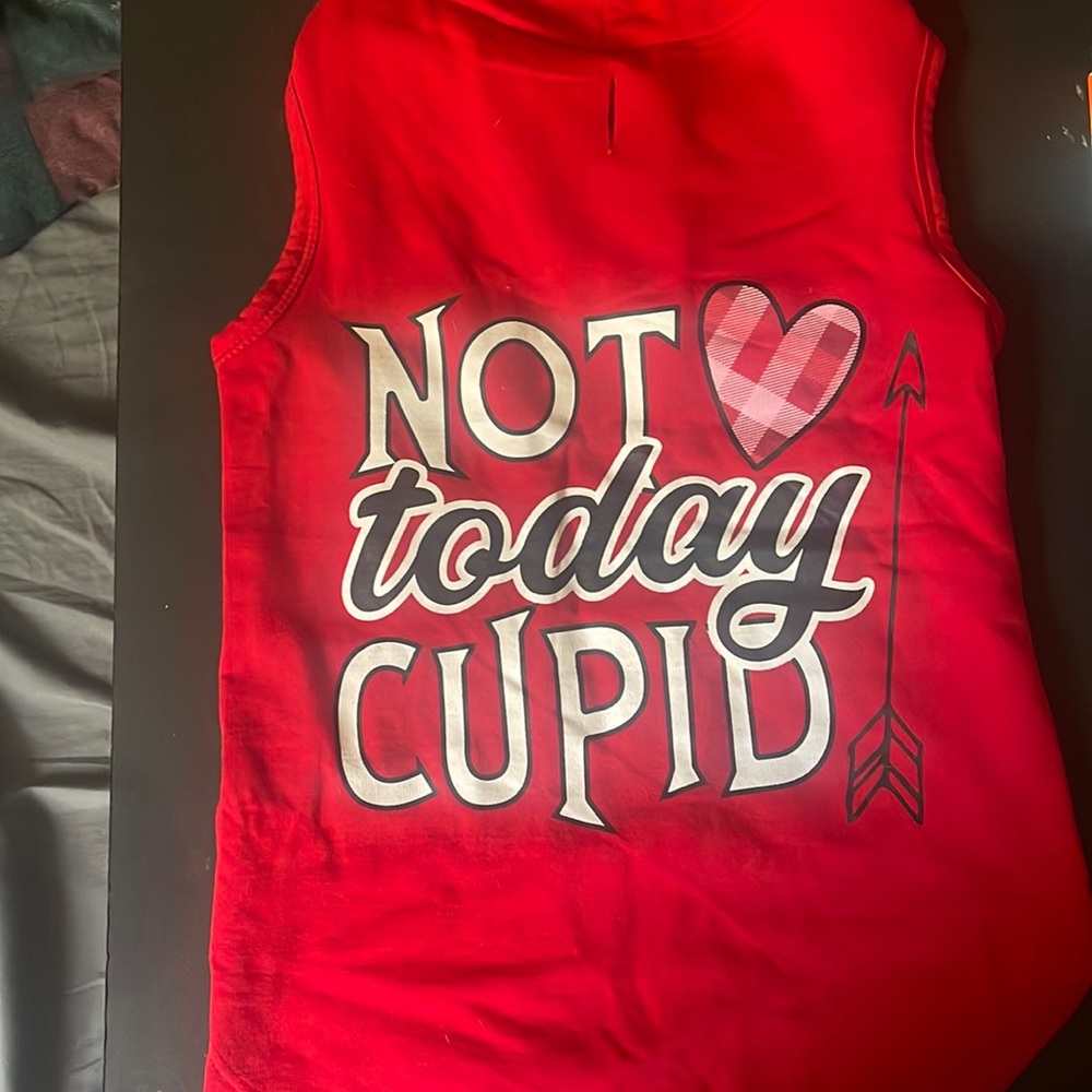 Valentine’s Day dog sweater